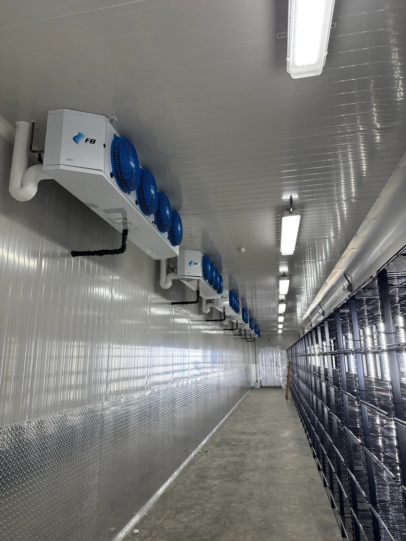 Interior de cámara refrigerada con evaporadores y cortina hawaiana